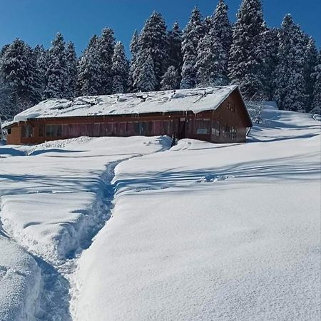 Roseland Cottage , Gulmarg Exteriér fotografie